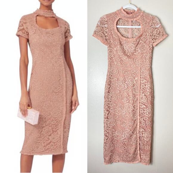 NWT ALEXIS DRESS XS FAIRY WHIMSICAL PINK LACE ZOELLE MIDI RUFFLE FLORAL CUTOUT - Picture 1 of 16